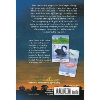 Bird Messages kortos Cico Books